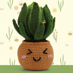 Aloe vera potted plant