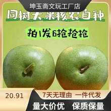 ��Ƥ�����������y��ñ�{���^����������ـ��Ƥ���Ҍm��Ԫ��ĥ�P