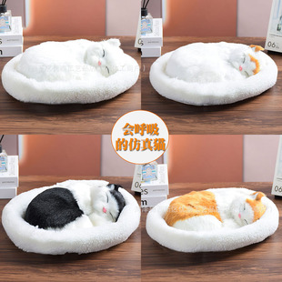 ����������С؈����żë�q��߄���ģ�̈́���YƷ��Ů�����նY��