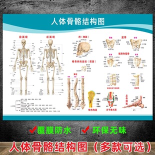 �tԺȫ�����w��������D���ك��K���ʈD���D���Լ���ֲ��D����