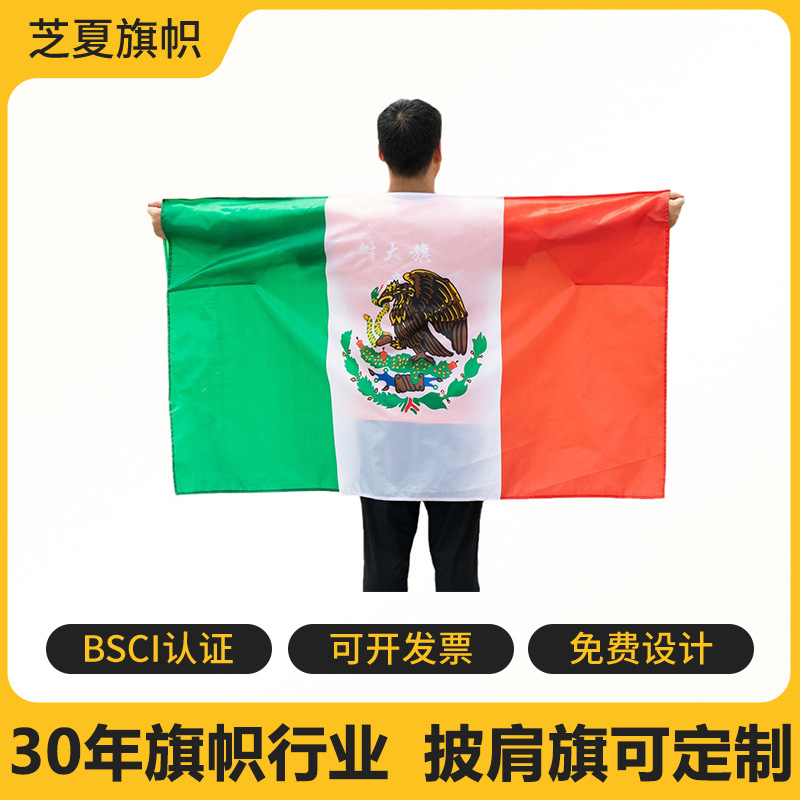 Copa del Mundo Transfronterizos Fan Bandera Band