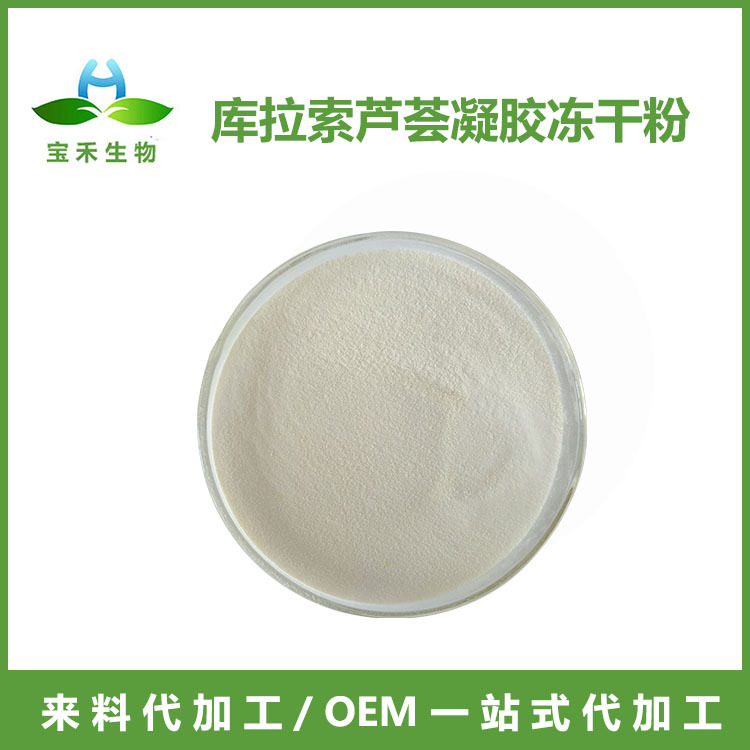 库拉索芦荟凝胶冻干粉 200:1 芦荟粉 芦荟提取物 芦荟冻干粉工厂