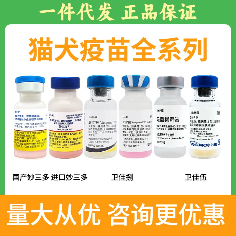 Импортированная вакцина против бешенства для домашних животных Shuo Teng Мяо Сан Дуо Вэй Цзя Ву Вэй Цзя Ба Агентство поддержки вакцины против бешенства для собак