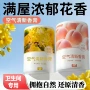 持久空气除味除异味香薰