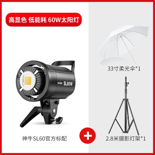 Bulb, 60W, 2.8m, 33 inch