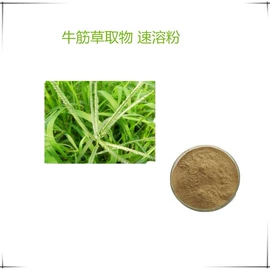 工业植物提取;植物提取物