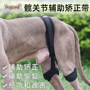 Pet dog hind leg joint with protective gear recovery correction with pet dog hip joint auxiliary correction pet supplies