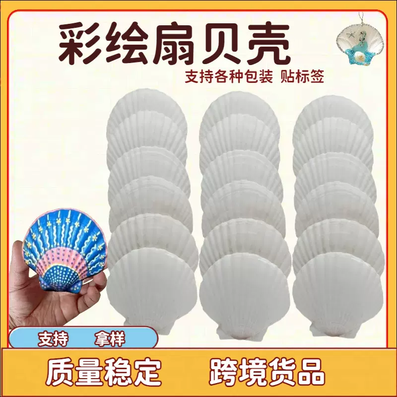 系列大扇贝DIY涂鸦易上色贝壳风铃打孔各种贝壳跨境供应贝壳