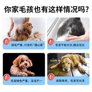 ����D������؈����ë���������~������֬����Ȯ؈���àI�B