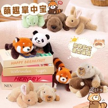 ���Y���Ќ��ɐۄ��﹫�Ќ���˯�X������ż��؈ë�q���ץ�C����