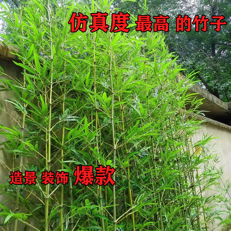 仿真竹子室内装饰加密塑料假竹子隔断屏风室外人造竹仿真植物造景