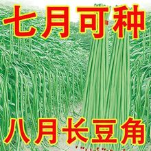 ժLǷNӸ߮aGhLǾGǷNӴ߲˷NZ