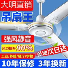 大明吊扇风扇家用客厅大风力节能静音电风扇100w吊扇王工厂养殖