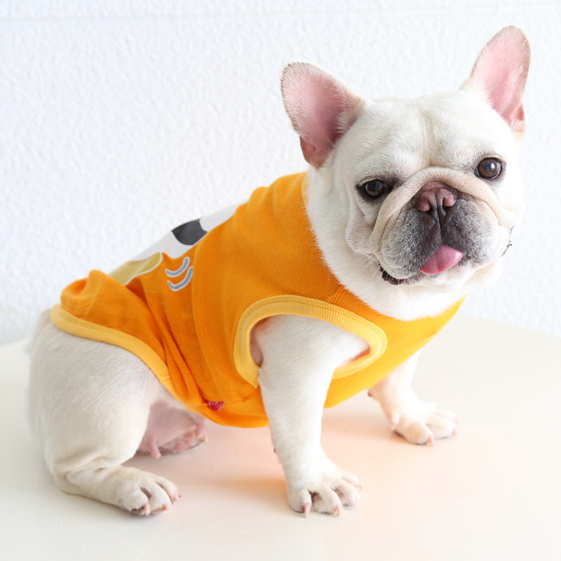 Petstyle ͸ ٴֹ·Ӣ͸»ӷè