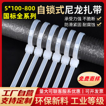 �����������iʽ4.8*300*5*200*�����������i���������a�������l