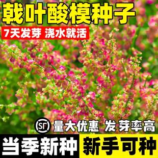 ��~��ģ�N���o�¹�ľ�N������ؚ��}�|��ɳ�������ٵ�·��ɽ�G��