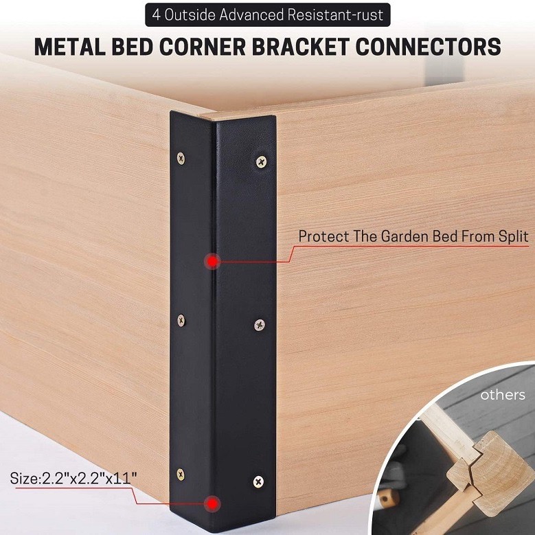 2025-02-10 15:03:12.jpg