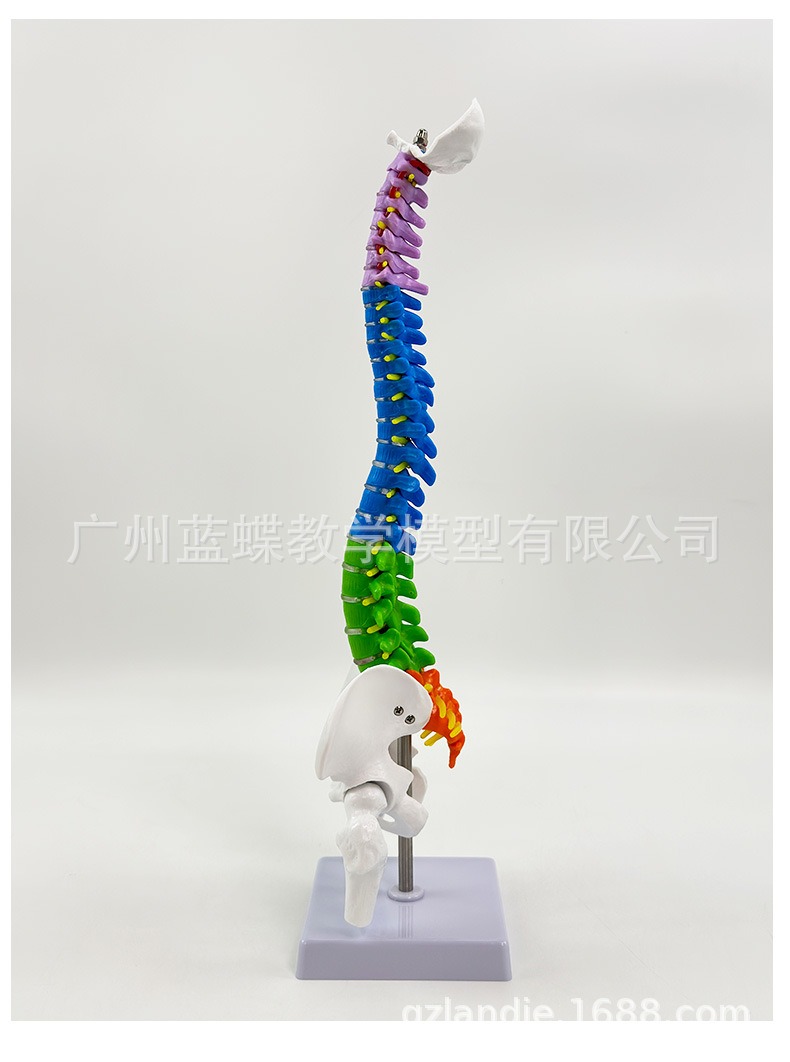 详情_14