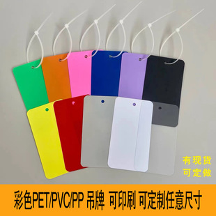 Free Design and Printing of Custom Colorful Petpvcpp Plastic Tags with Rounded Corners and Hole Punching, Supporting Special-Shaped Colorful Printing