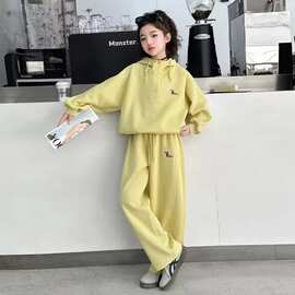 女童连帽卫衣套装春季新款洋气中大儿童休闲韩系穿搭小女孩两件套