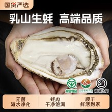 ؐ˾����ɽ�r����򺺣Ϡ�����r��ĵϠ��Ʒ�|�GɫʳƷ���r���l