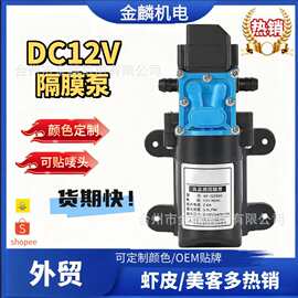 外贸热销DC12V2W 6A隔膜泵电动智能喷雾器Diaphragm Pum