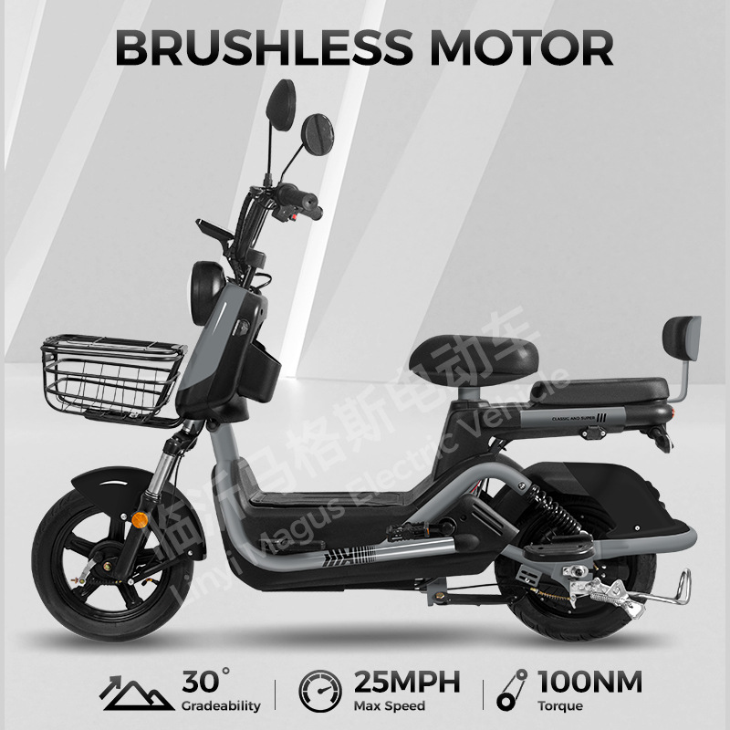 Comercio exterior para adultos para llevar carrera de larga distancia rey coche eléctrico bicicleta eléctrica freno de disco coche de batería de transporte de dos ruedas