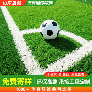 �����ƺ����WУ�׃��@�G��Ƥ����������ٲݑ����\���w��Ӗ��ِ