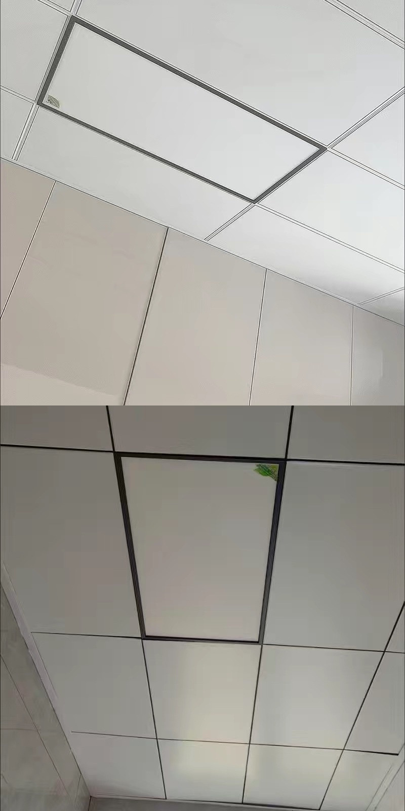 d3022304-32e4-4e22-ba7c-debfa9dee07e.jpe