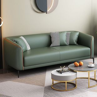 Sofa Small Apartment Rental Living Room Simple Modern Apartment Durable Double Small Sofa Three-Person Bedroom Room
