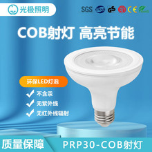 ���aPAR30��������ܰ��X���wCOB 2835��������оƬ