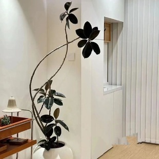 ���ͺڽ�����Ƥ��Gֲ�����҃ȿ͏dֲ����B���k�������Ԇ��wֲ��