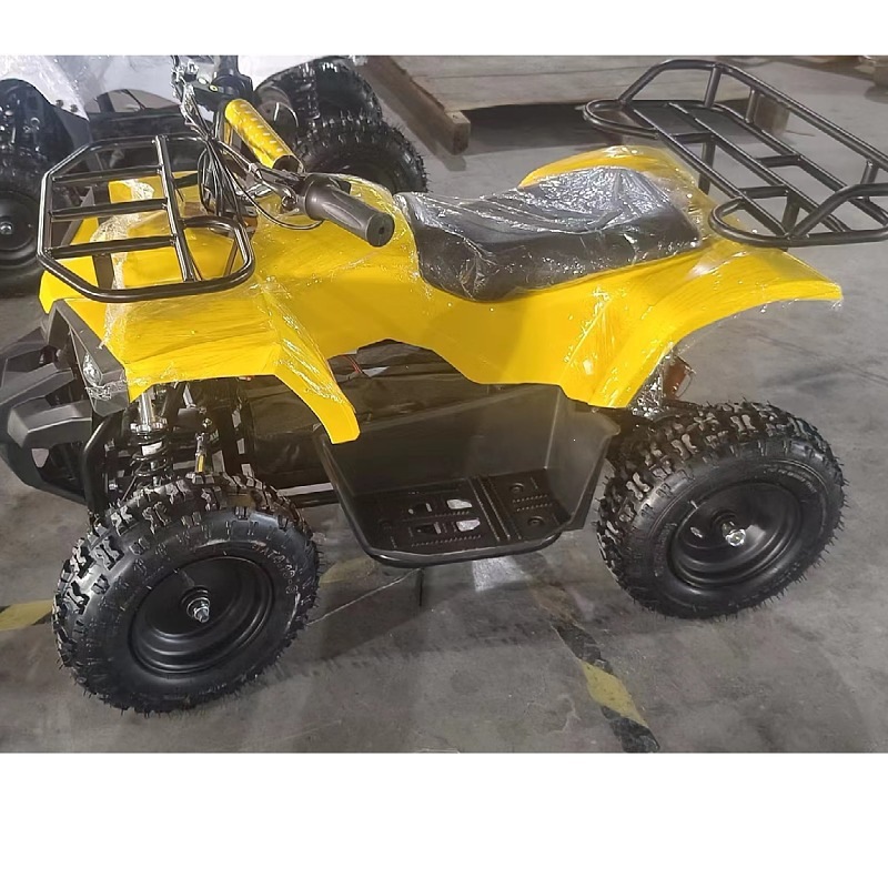 Little Warrior Atv, Electric Start 49Cc All-Terrain Four-Wheel Atv for Children's Park Entertainment and Rental Use