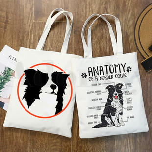 �羳I Love my Border Collie Dogӡ���������μ�������ُ���
