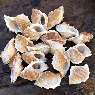 ��������Ȼؐ�����ݰ��ﺣ���ݘ˱��ݼľ�з��Q�����~ؐ�~��ˮ��