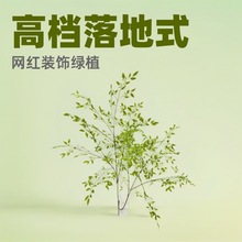 仿真绿植南天竹盆栽大型落地式高档摆件室内客厅假绿植网红装饰