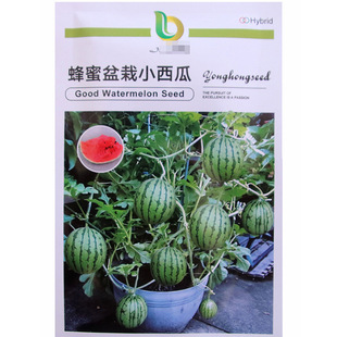 ��������С���ϷN�� �r��ˈ@ͥԺ����ˮ���t��С������