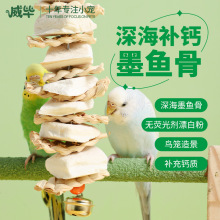 墨鱼骨玄凤虎皮牡丹鹦鹉补钙磨牙用品用具鸟食零食龟吊串啃咬玩具