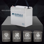 赛特蓄电池BT-HSE-55-12核磁共振CT机X光12V55AH医院UPS电源电池