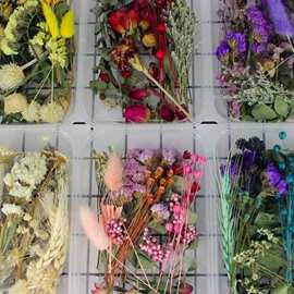 干花永生花材料组合节日DIY活动植物材料幼儿园手工材料