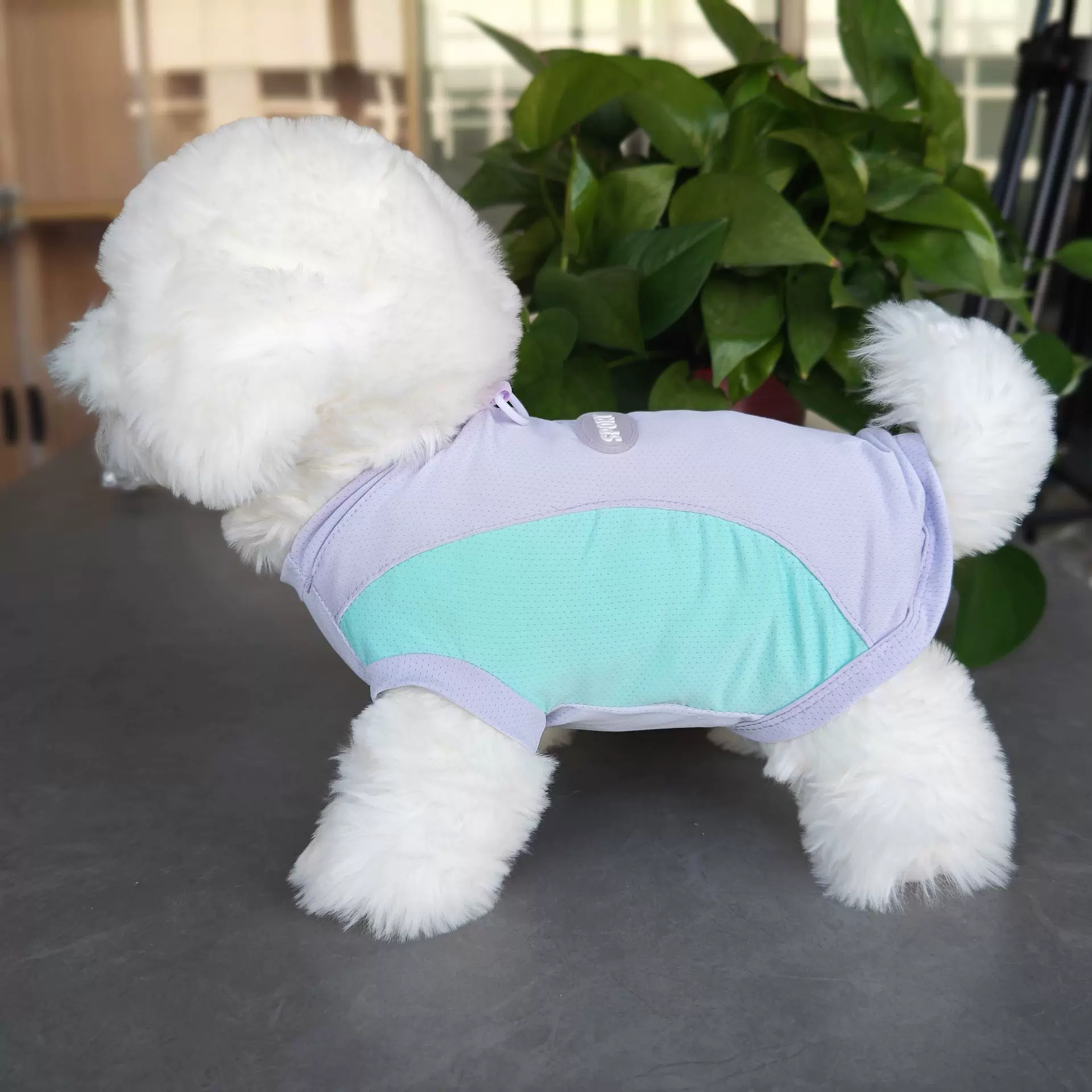 宠物狗衣服狗狗服装春夏季背心外出马甲薄款服饰跨境定做源头