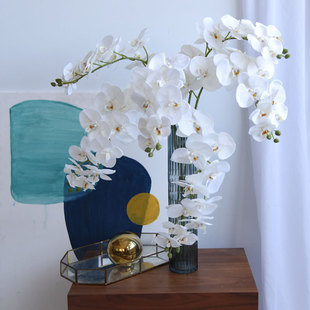 ���滨��ɫ�����m�͏d�[�O�������p�ݲ������W�t������bٻ�