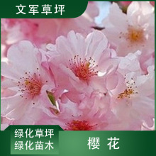 ���K��ľ����ֱ�����|�ձ�3-10���ֻ��ܾG��ֲ��ѻ������L����