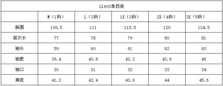 21603小