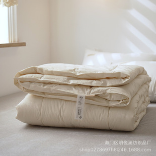 New Class A Raw Cotton Australian Wool Quilt Core Cotton Winter Thickened Warm Double Winter Quilt