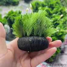 �G�����������������ˮ�ݶ��~�~���쾰�o���ɰ�������R�d