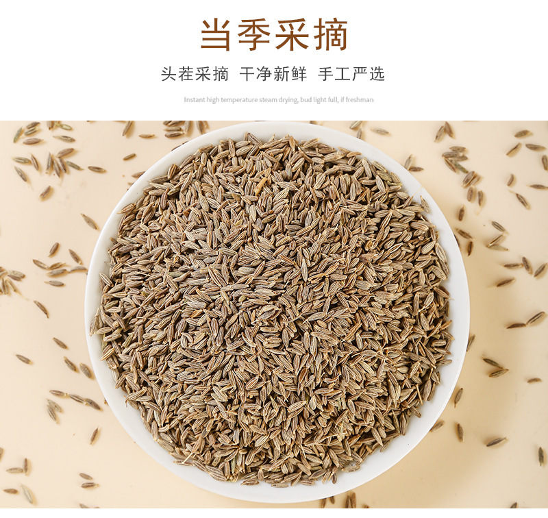 Cumin Seeds (Cuminum cyminum) — Xinjiang Whole Cumin for BBQ & Spice Blends specifications