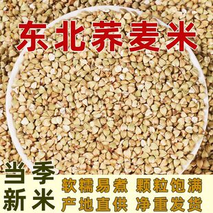 �|���w���׮�������10���������r���Ԯa�s�Z�w������Ó������