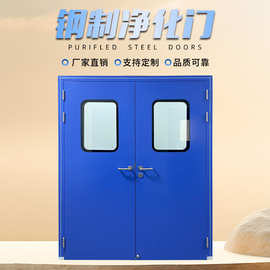 净化门钢制门双开成品钢质门医院病房门防火室内门无尘车间洁净门