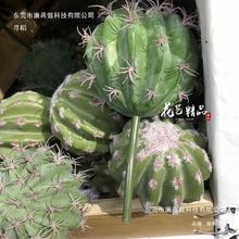 �쾰������ɳĮ�Ꭷ����������ֲ��ܛ�b�ٻ�ֲ��������廨Ԕ��